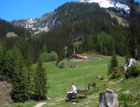 Buchauer Alm